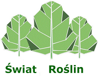 swiat-roslin