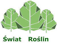  swiat-roslin 